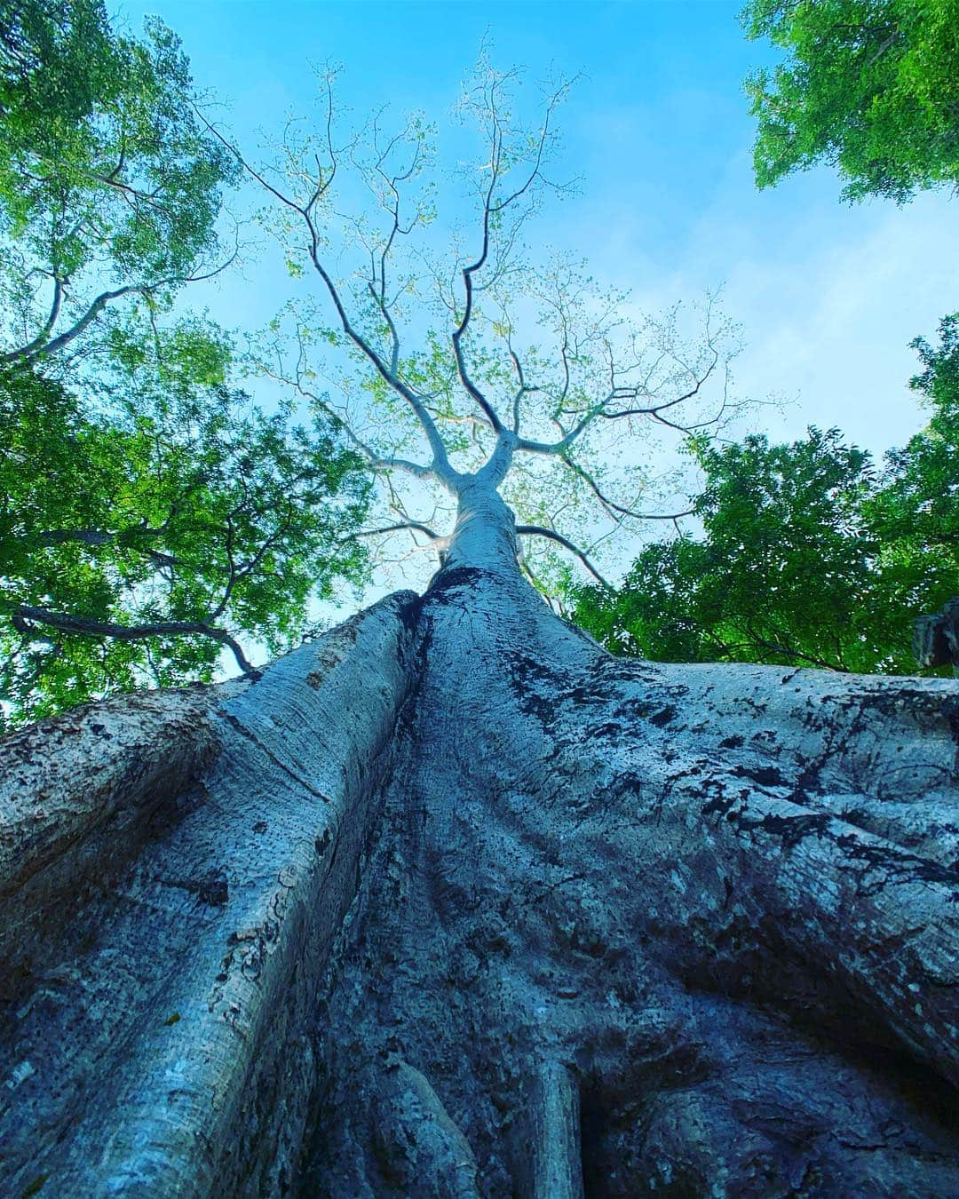 谷川じゅんじさんのインスタグラム写真 - (谷川じゅんじInstagram)「Good morning Khmer.  #goodvibesonly #goodneighbors #beautifulcountry #cambodiatrip #thisiscambodia」4月29日 12時29分 - junjitanigawa