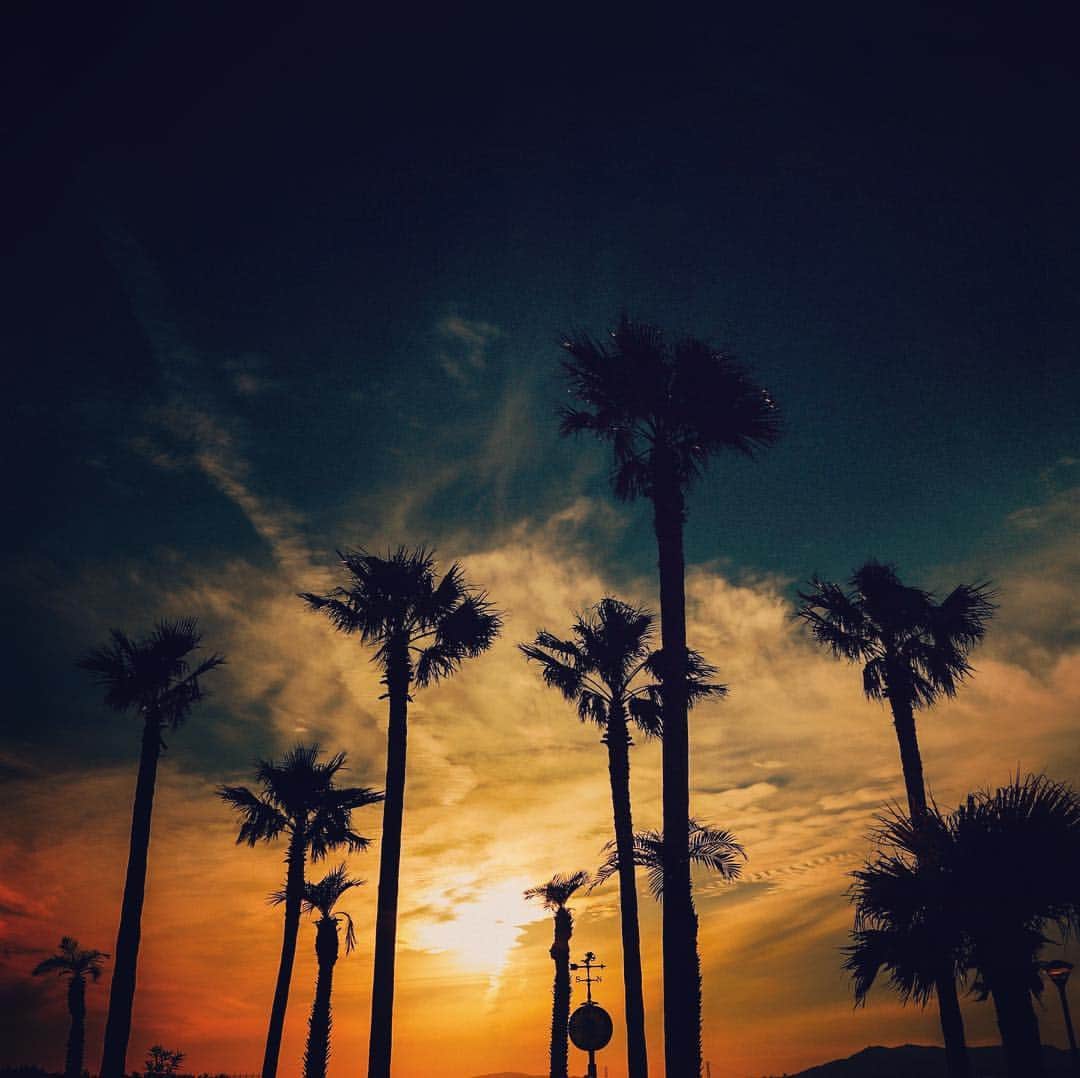 17人をフォロー中 【結婚式場】ラヴィマーナ神戸ウエディングのグルメインスタ