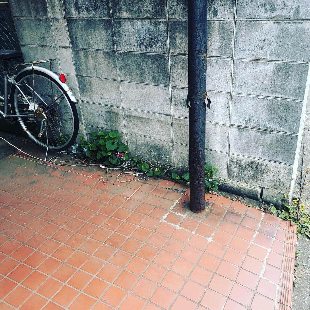 宙也さんのインスタグラム写真 - (宙也Instagram)「塀。」4月29日 12時41分 - chuya_aquarius