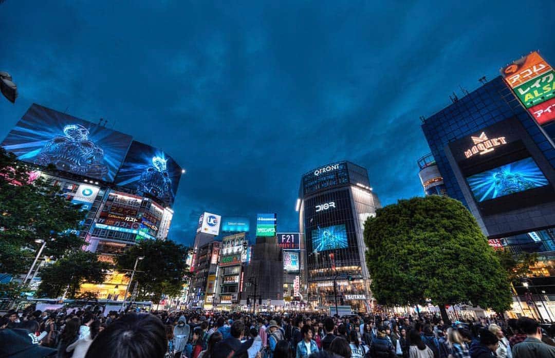 キム・ジョーンズさんのインスタグラム写真 - (キム・ジョーンズInstagram)「@dior @hajimesorayamaofficial takeover at Shibuya crossing Tokyo」4月29日 22時54分 - mrkimjones