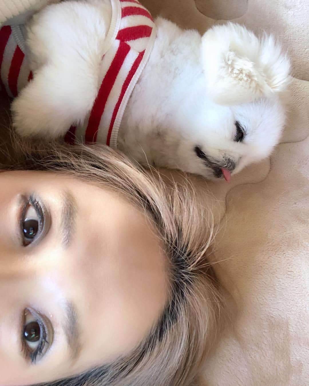 こなつのインスタグラム：「添い寝でGood night👩🐶❤️🍯✨」