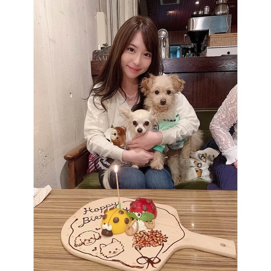 堀尾実咲のインスタグラム：「本日26歳になりました👼  平成と共に25歳とさよならwww  この連休はパパママが東京に遊びに来てるから家族みんなでお誕生日を過ごしたよ🎂  26歳のみさめろのこともよろしくねん🐰❤︎ #birthday」