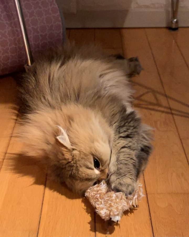 にこのインスタグラム
