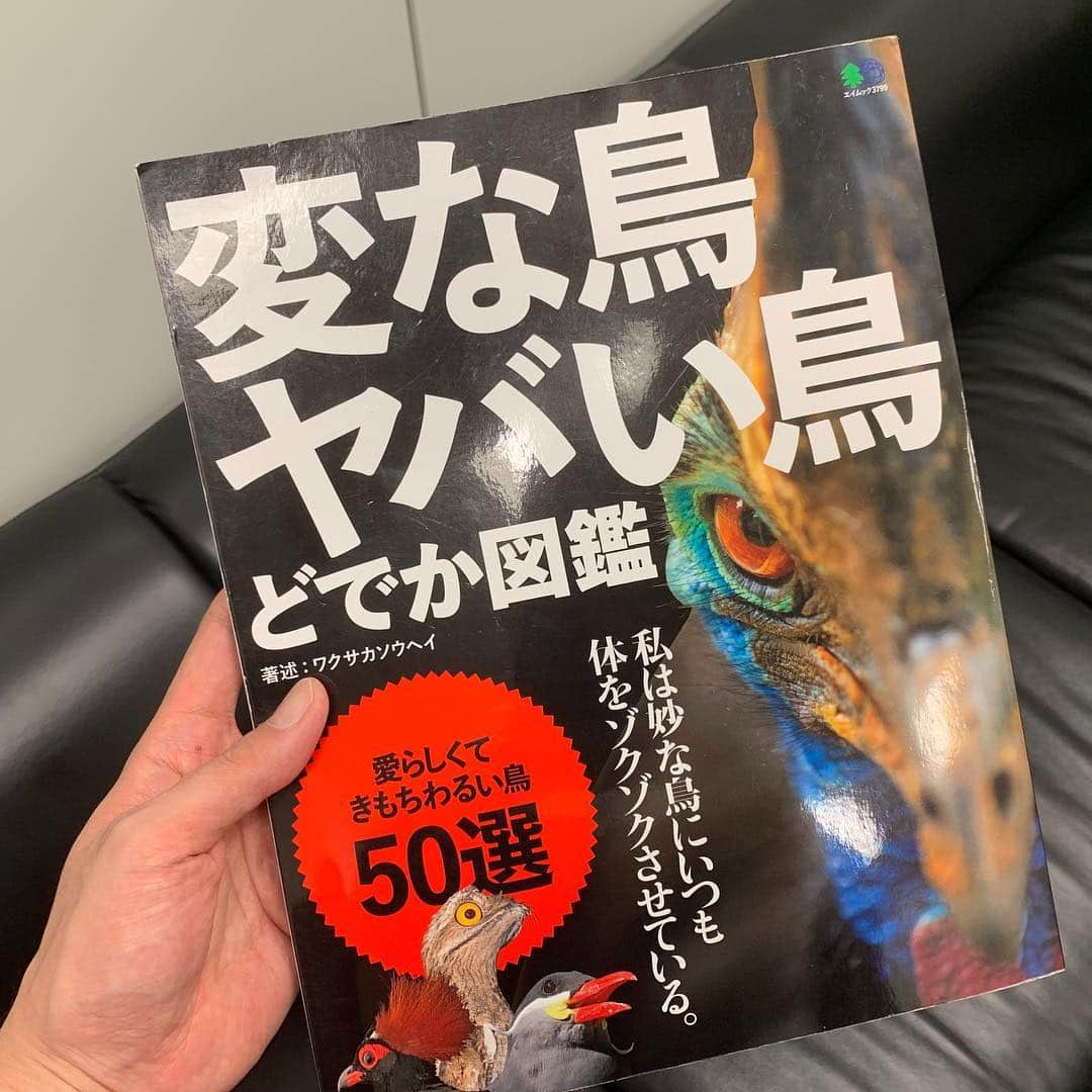 佐久間一行さんのインスタグラム写真 - (佐久間一行Instagram)「本日も佐久間一行展、ご来場ありがとうございました！  ゲストの宮田さんとワクサカさんの生き物の話も興味深いものばかりであっと言う間でした！！ キクちゃんMCもいつも安心〜  細かいところ、いろいろ見ていただいて、佐久間一行展、フルで楽しんでいただければ〜！ #佐久間一行展 #宮田珠己 #ワクサカソウヘイ #キクチウソツカナイ #有楽町マルイ #有楽町 #マルイ #ゴールデンウイーク」4月29日 23時19分 - sakuzari