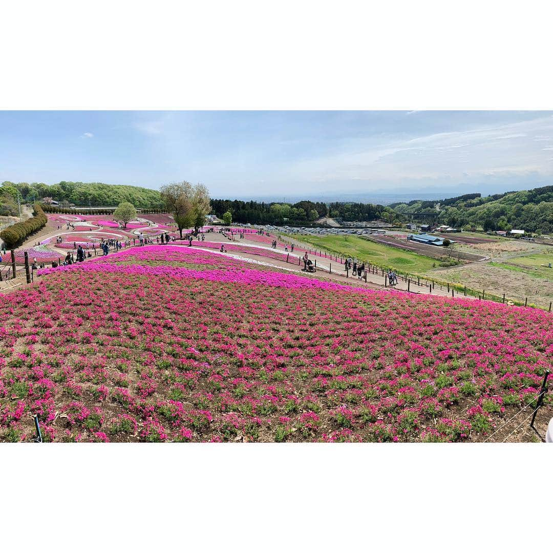 YU-U（工藤由布）さんのインスタグラム写真 - (YU-U（工藤由布）Instagram)「🌸みさと芝桜🌸 なおみさんとの成功ハイタッチ🙌🏻 はなちゃんと失敗ハイタッチ🙌🏻 「ソフトクリーム🍦大好き💕食べよー」と私となおみさん👯‍♀️ 「わたし食べない〜」って言ってたはなちゃんは 食べ終わりそうな時に「やっぱり食べる」って😂 溶けちゃった写真しか撮れなかったの件😑😑😑 あーー楽しいっ💕 ・・・ #みさと芝桜公園」4月29日 14時50分 - nyan22u22nyan