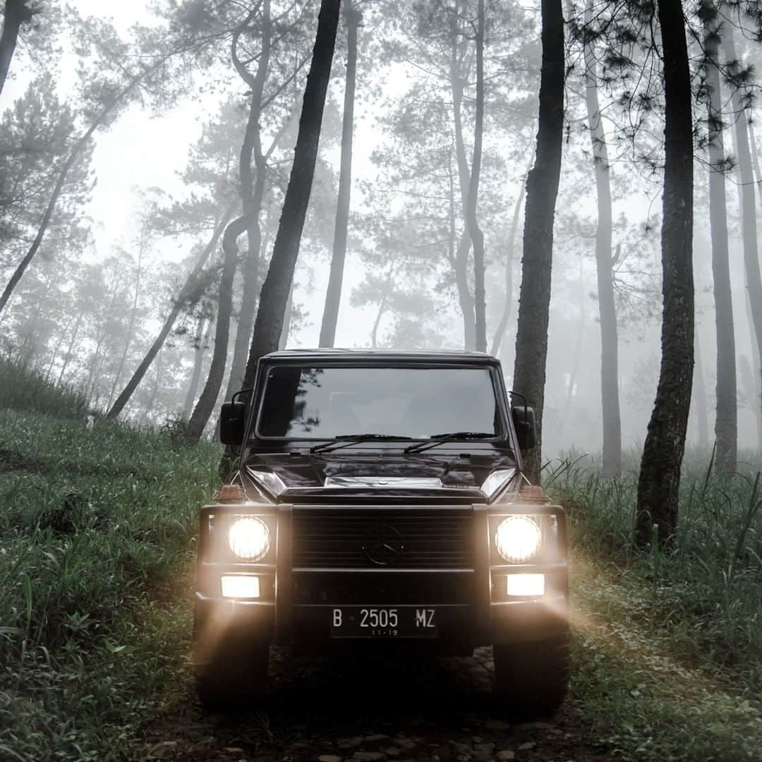 メルセデス・ベンツさんのインスタグラム写真 - (メルセデス・ベンツInstagram)「King of the Jungle. 🌴 Photo by @randanaprayuda with @mogiwagon. . #MercedesBenz #GClass #W460 #strongerthantime #mbfanphoto #EastJava #Indonesia #wherethestreetshavenoname #kingofthejungle #mbcar」4月29日 15時00分 - mercedesbenz