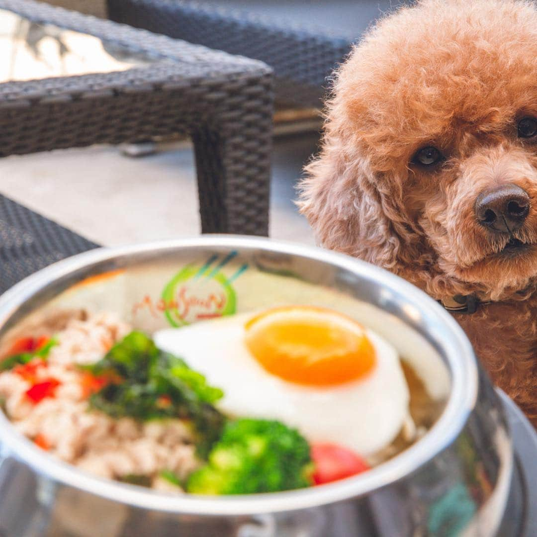 モンスーンカフェのインスタグラム