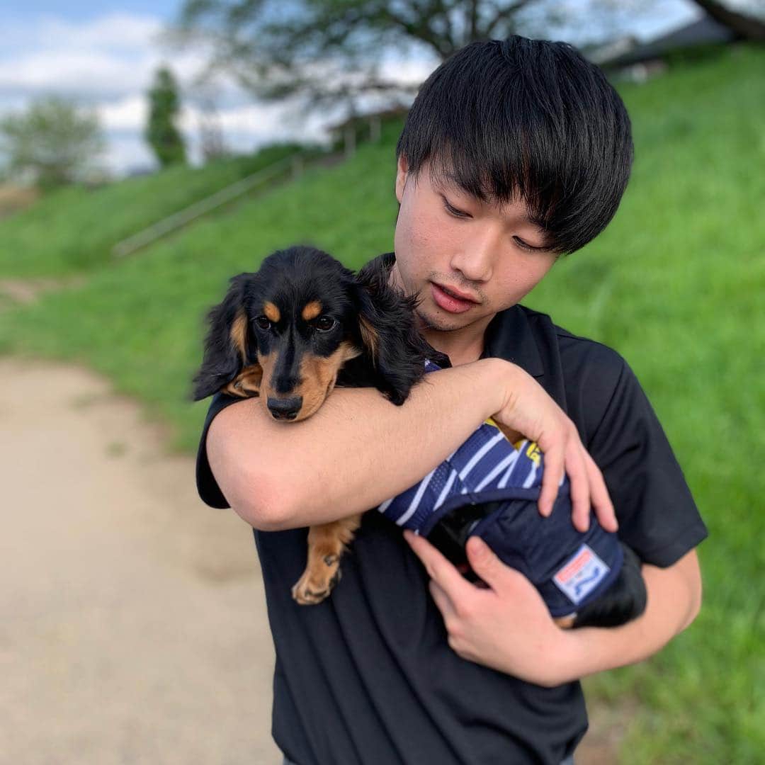 かわうちきっぺいのインスタグラム：「こたちゃん ハピ太郎 #いぬはかわいい」