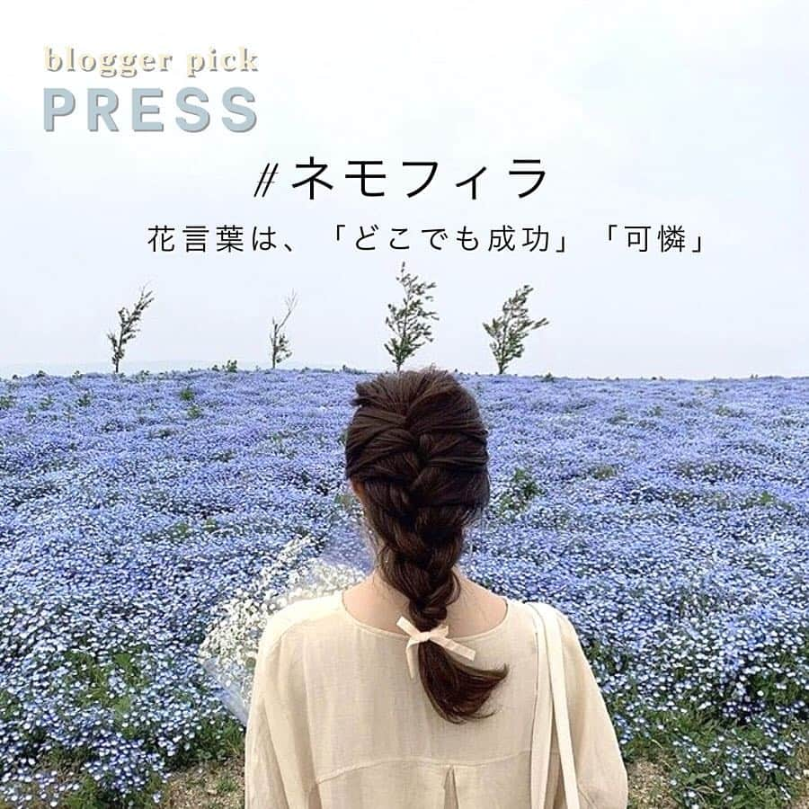 PRESSのインスタグラム