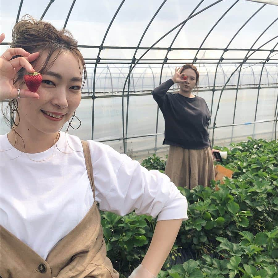 YU-U（工藤由布）さんのインスタグラム写真 - (YU-U（工藤由布）Instagram)「🍓イチゴ狩り🍓 ワイワイしながら楽しかったなぁ💕 最後のは糸電話☎︎🤣🤣🤣 ん？聞こえないーってやつが下ね😂 ・・・ #いちご狩り」4月29日 16時58分 - nyan22u22nyan