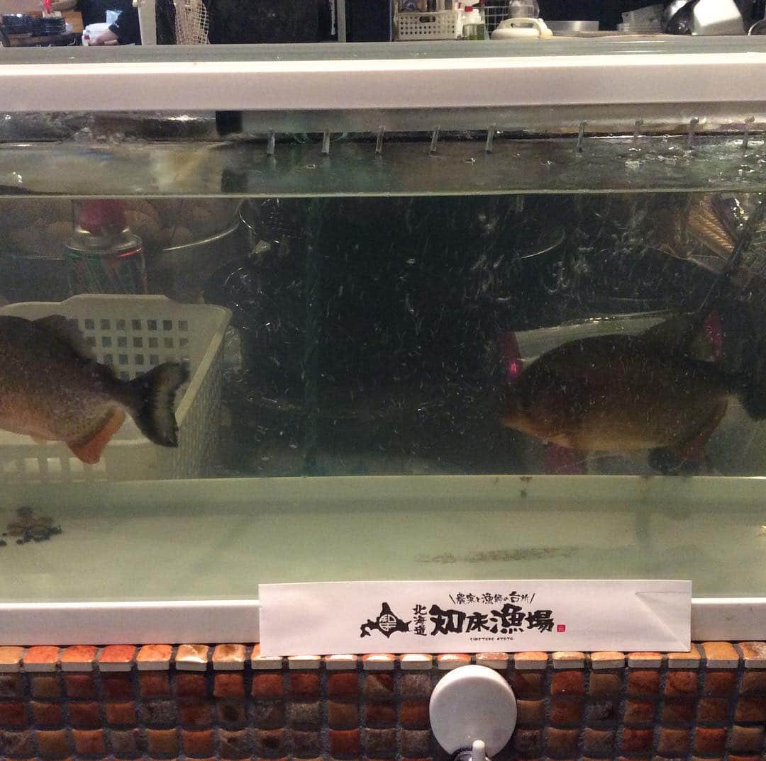 知床漁場 難波道頓堀店のグルメインスタ