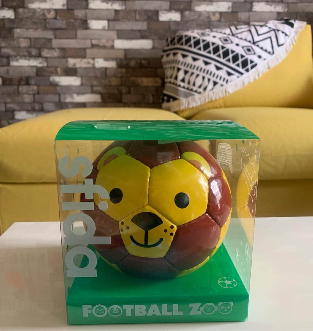 崎山一葉さんのインスタグラム写真 - (崎山一葉Instagram)「肩甲骨をグリグリと体操する用のボールを探してネットサーフィン。  ちょうどイイのがあった〜😍 しかも#sfida ⚽️ 沢山ある動物の中から 百獣の王にしました🦁  これで快適🙌  #ball #football #zoo #lion」4月29日 17時02分 - kazuha_sakiyama