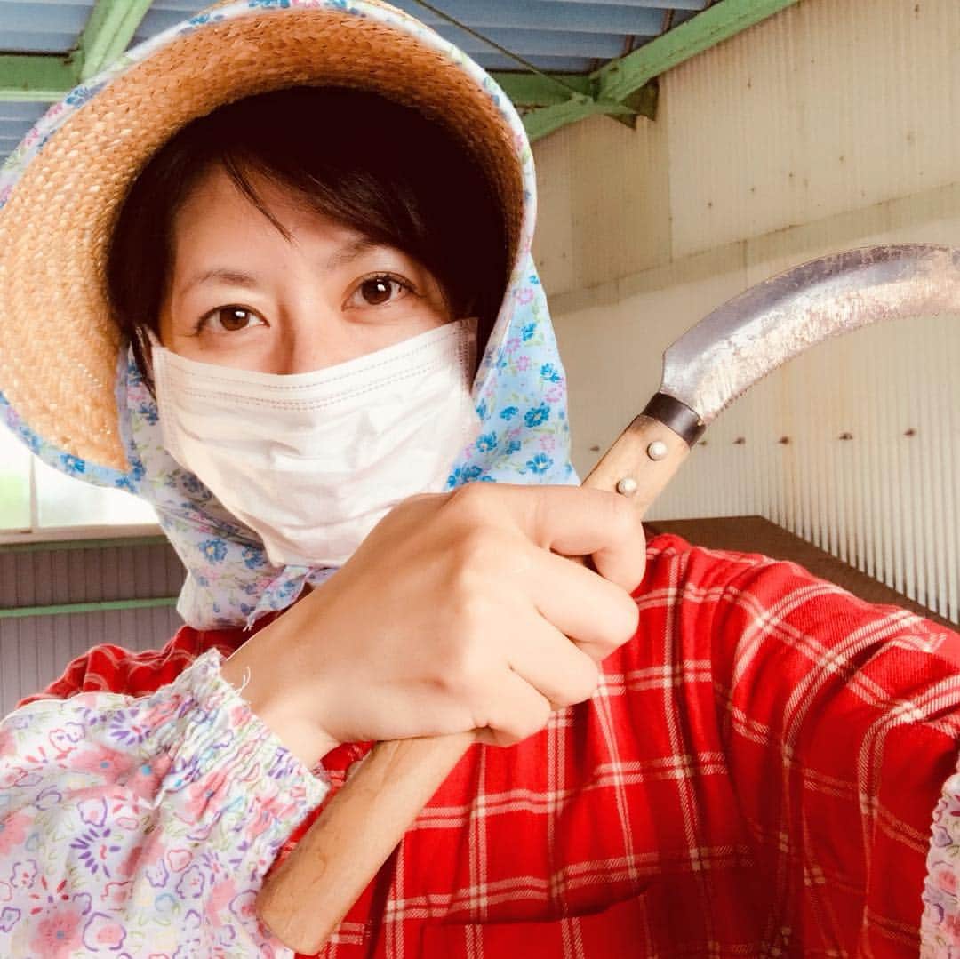 サトウヒロコのインスタグラム