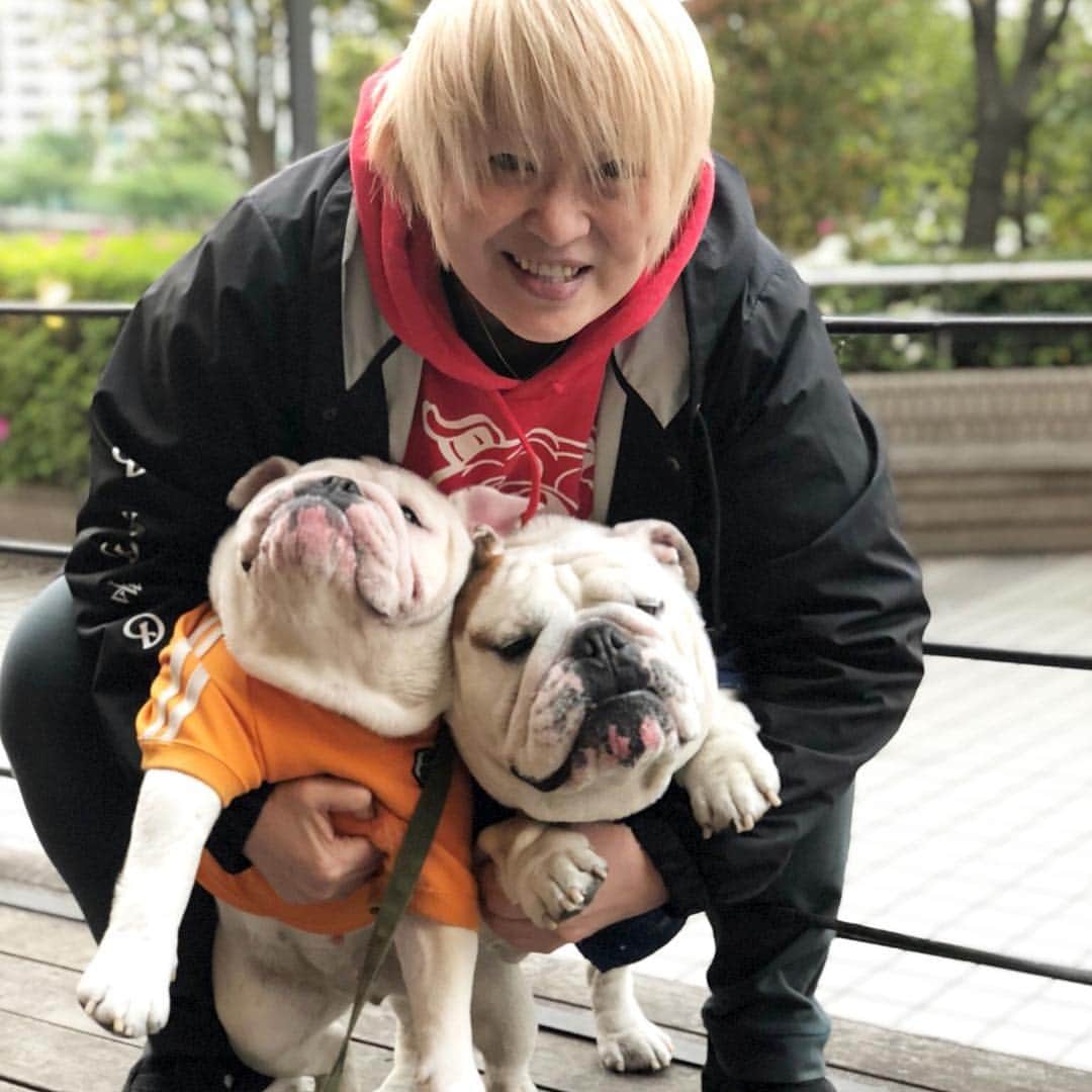 堀田祐美子のグルメインスタ