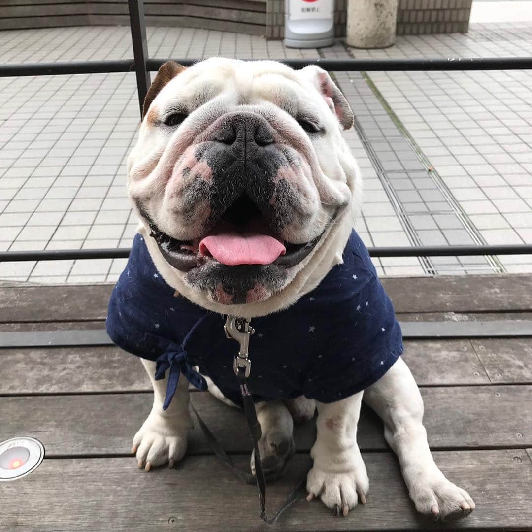 堀田祐美子のグルメインスタ