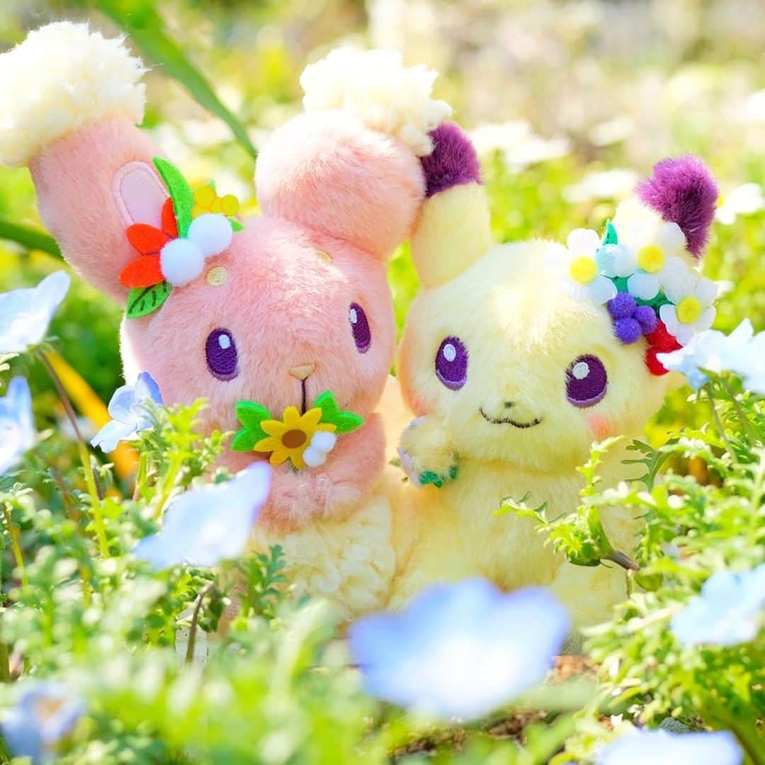 ピカチュウ公式Instagramさんのインスタグラム写真 - (ピカチュウ公式InstagramInstagram)「【今日のピカチュウ】 ピカチュウたちはお花の冠をつけてもらってゴキゲン🎶🎶 お花といっしょに、はいポーズ📸 #pikachu #buneary #pokemon #pikachu_snap #photooftheday #flower #flowers #dandelion #spring #knit #ピカチュウ #ミミロル #ポケモン #花 #タンポポ #春」4月29日 18時00分 - pokemon_jpn