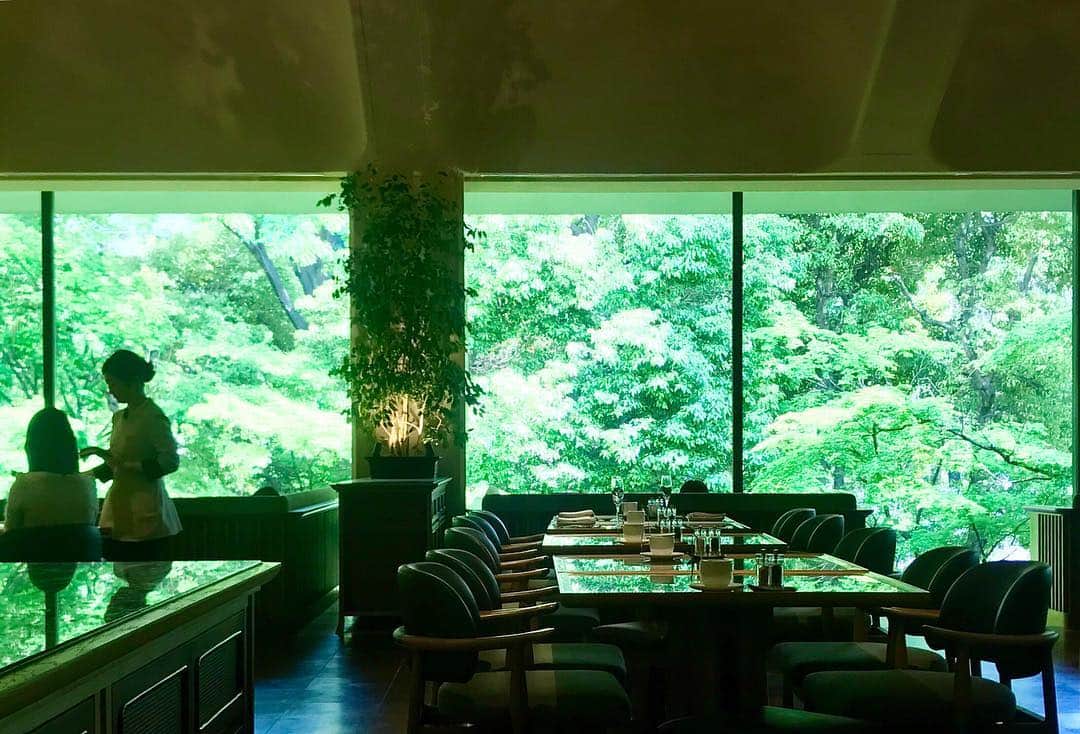 のインスタグラム：「.﻿ 【新緑の中で】﻿ Lounge Momijiの広い窓から眺める青葉。﻿ まるで緑の中にいるような、ゆったりとしたひとときをお過ごしください。﻿ ﻿ There is a great view of green leaves from the wide window of Lounge Momiji. ﻿ Please spend a leisurely time while in space that feels as though you are in a sea of green.﻿ ﻿ #グランドプリンスホテル新高輪﻿ #LoungeMomiji﻿ #grandprincehotelnewtakanawa﻿ #ラウンジもみじ」