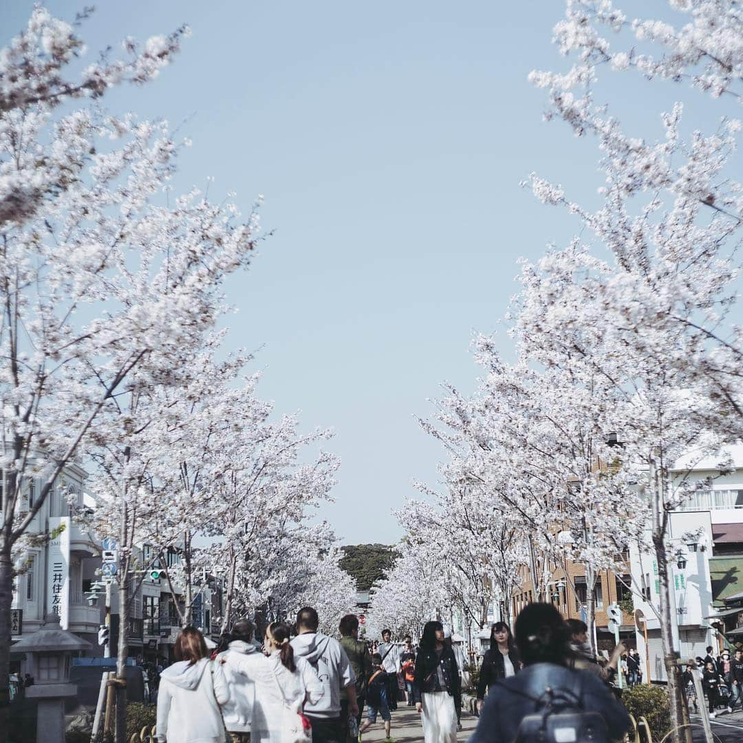 市川渚のインスタグラム