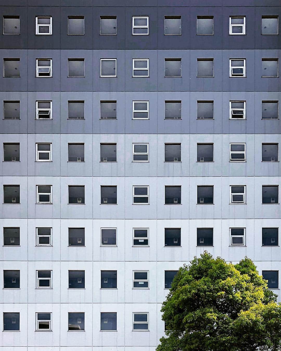 tsuno2noのインスタグラム：「30.April.2019 . 口日口口日口口日口 口目口回日口口目口 口目口口日口口目口 口日口口日口口目口 口日口口日口口日口 口日口回日口口日口 口日口口日困葉葉呆 口日口口日葉枝葉葉 . . #ザ壁部 #小窓部 #igersjp #ぱっぱ部 #instagram #こんななの #minimalint #9minimal7 #ic_minimal #arkiminimal #rsa_minimal #indies_gram #tv_simplicity #jj_minimalart #arte_minimal #タグキング👑 #minimalmood #soulminimalist #indies_minimal #キャプキング👑 #screen_archive #instagramjapan #minimal_greece #buildingstylesgf #ig_minimalshots #unlimitedminimal #paradiseofminimal #minimal_perfection #jj_doorsandwindows #ihaveathingforminimal .」
