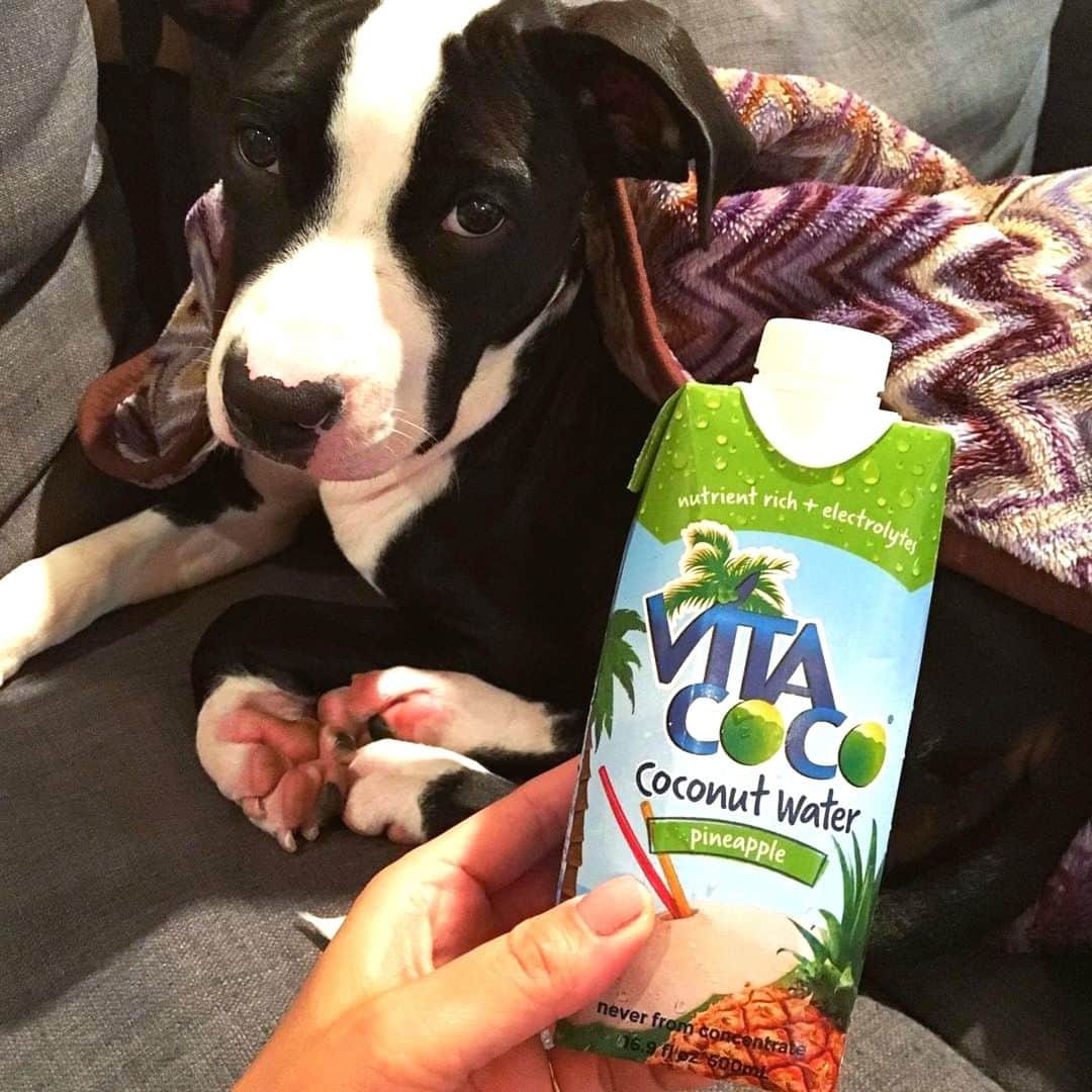 Vita Coco Coconut Waterのインスタグラム：「When someone says "Happy Monday"」
