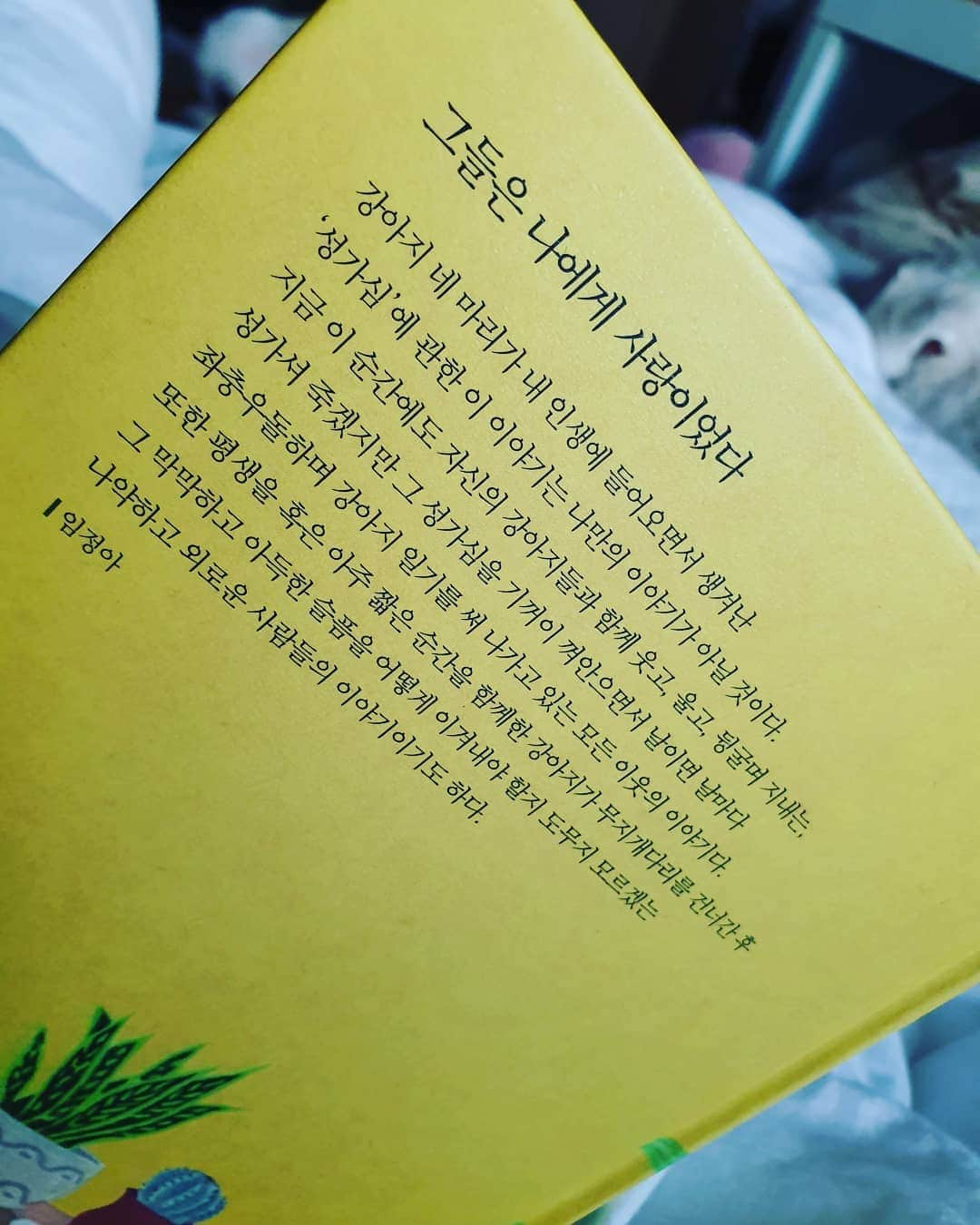 ユアラ さんのインスタグラム写真 - (ユアラ Instagram)「강아지를 너무 사랑하는 모든 분들에게 추천해드리고싶어요🙆🏻 제 친구는 큰 출판사에 다닙니다~🙊 맨 뒷면을 볼때 친구이름만 보였음...얼마나뿌듯할까나아 책이 나오자마자( 뜨끈뜨끈) 보내줬드아 내가 다 자랑스러움 "승아야 나에게도 널 만난건 정말 행운이야❤고마워❤" #한길사#우리산책할까요#반려견#힐링에세이#책추천 #댕댕이#뭉뭉이#baby#best#like」4月29日 18時50分 - chloe.yoo.73