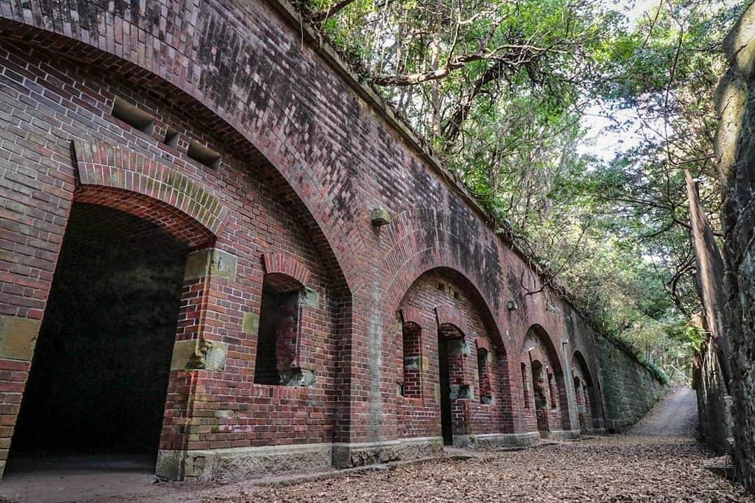 Visit Wakayamaさんのインスタグラム写真 - (Visit WakayamaInstagram)「.﻿ Rediscover your sense of wonder on #tomogashima with a visit to these mysterious ruins that resemble scenes from #HayaoMiyazaki ’s #castleinthesky.﻿ The island is easily accessible from #Wakayama City by ferry.﻿ 📸: @ayaneandbchan﻿ ﻿ Share your stories with #visitwakayama and @visitwakayama for a chance to be featured!」4月29日 19時00分 - visitwakayama