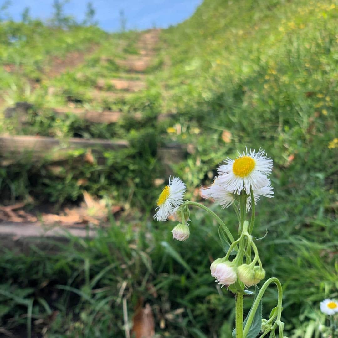 Hiroe Hiranoさんのインスタグラム写真 - (Hiroe HiranoInstagram)「昨日は、海も山も満喫。 虹も富士山美しかった！ 山登りは、お気に入りの #仙元山⛰  自然と戯れるってすごく贅沢で、 心も体も満たされる遊び🌏 自然の大切さを感じています🌱 . 親友夫婦に心から感謝😘 私よりも先に物件予約して内見してくれてありがとう😂（笑） あの君たちの勢いがなかったら、、、 私はこの幸せを体感できていなかったよ⭐️ 葉山御用邸の区域に身を置けてることに ありがたいなーとしみじみ思う時間で。 . . 軽く筋肉痛を楽しみながら（笑） 栄養たっぷり晩御飯作って、お家で映画鑑賞。 映画LOVERな私は、葉山でルーティンに🎬 ちなみに今日もカリフォルニアの友達達と映画へ。 . . 今の私にとって、最高な時間の使い方だな。 シェアしてくれる相方の存在にありがとう❤️ . 明日から長野🌱🌳 ゴールデンウィークは、 たくさん自然と遊ぶ予定❤️ . 前述した #レインボーサークル #RainbowHalo 🌈には感動しました😎🌏 . #hiroestyles #hiroecali #organic #オーガニック #healthy #lifestyle #wellness #wellbeing #平野宏枝 #ウェルネス #ウェルビーイング #登山 #mtfuji #富士山 #ハイキング #hiking #nature #自然 #幸せの形はそれぞれ #自分にとっての幸せを知る #家族の形もそれぞれ #大切な人の幸せを知る」4月29日 19時07分 - hiroe_hirano