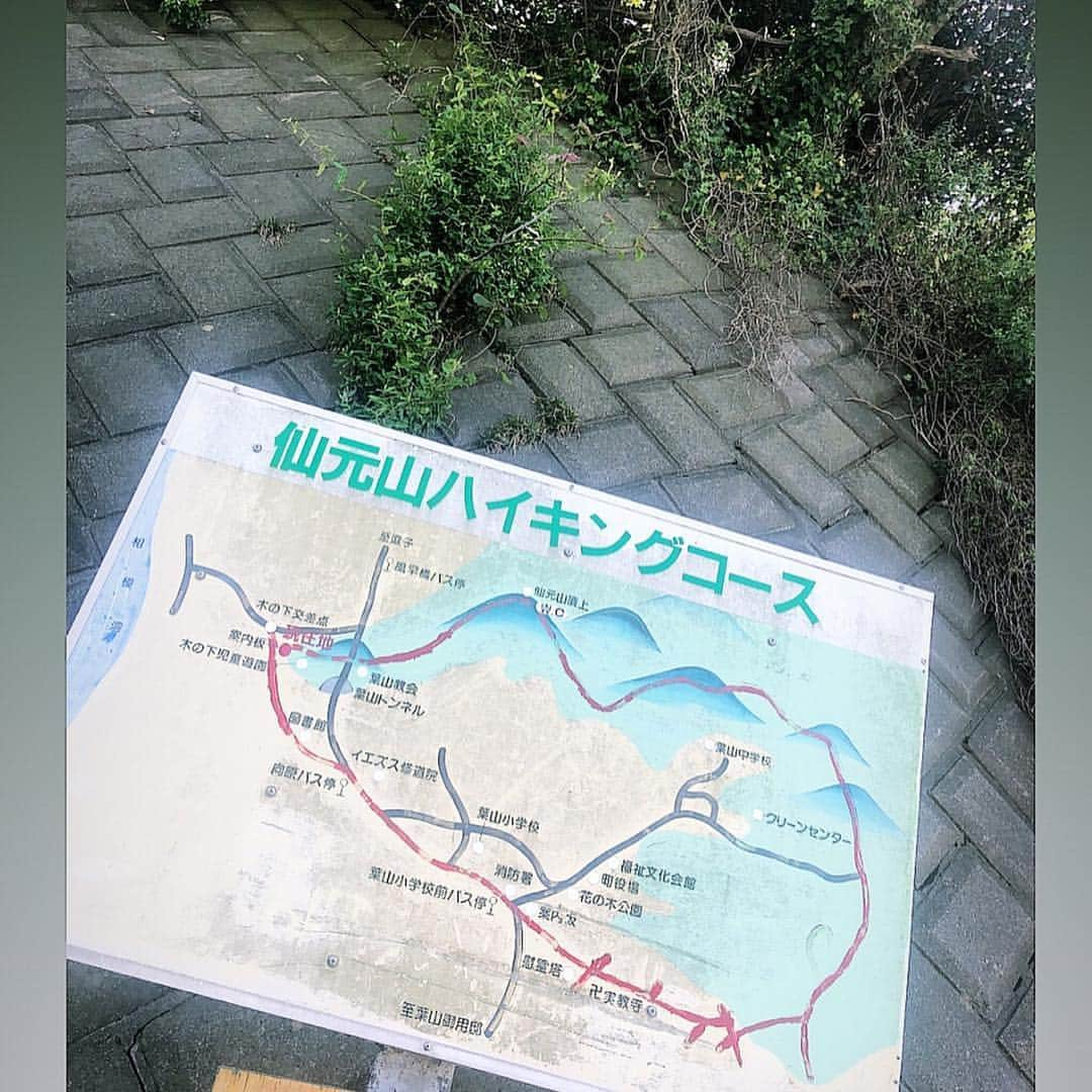 Hiroe Hiranoさんのインスタグラム写真 - (Hiroe HiranoInstagram)「昨日は、海も山も満喫。 虹も富士山美しかった！ 山登りは、お気に入りの #仙元山⛰  自然と戯れるってすごく贅沢で、 心も体も満たされる遊び🌏 自然の大切さを感じています🌱 . 親友夫婦に心から感謝😘 私よりも先に物件予約して内見してくれてありがとう😂（笑） あの君たちの勢いがなかったら、、、 私はこの幸せを体感できていなかったよ⭐️ 葉山御用邸の区域に身を置けてることに ありがたいなーとしみじみ思う時間で。 . . 軽く筋肉痛を楽しみながら（笑） 栄養たっぷり晩御飯作って、お家で映画鑑賞。 映画LOVERな私は、葉山でルーティンに🎬 ちなみに今日もカリフォルニアの友達達と映画へ。 . . 今の私にとって、最高な時間の使い方だな。 シェアしてくれる相方の存在にありがとう❤️ . 明日から長野🌱🌳 ゴールデンウィークは、 たくさん自然と遊ぶ予定❤️ . 前述した #レインボーサークル #RainbowHalo 🌈には感動しました😎🌏 . #hiroestyles #hiroecali #organic #オーガニック #healthy #lifestyle #wellness #wellbeing #平野宏枝 #ウェルネス #ウェルビーイング #登山 #mtfuji #富士山 #ハイキング #hiking #nature #自然 #幸せの形はそれぞれ #自分にとっての幸せを知る #家族の形もそれぞれ #大切な人の幸せを知る」4月29日 19時07分 - hiroe_hirano