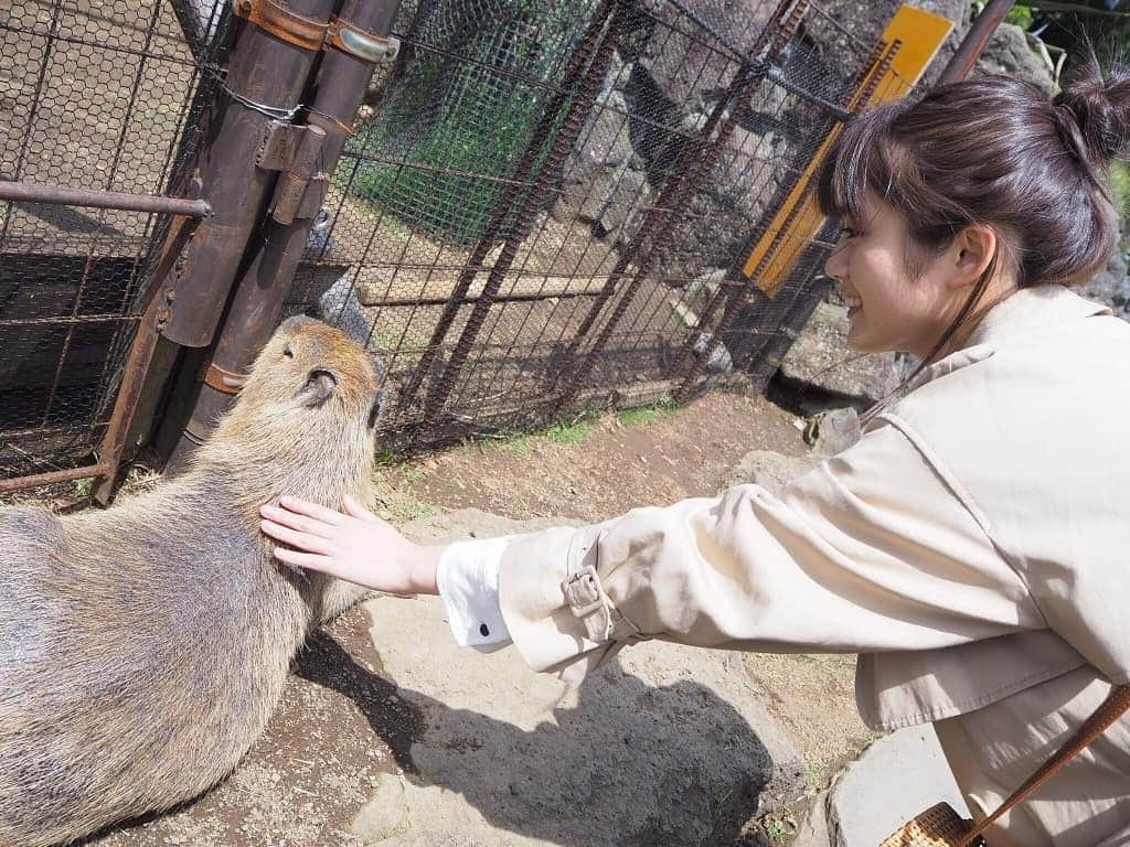 水谷果穂さんのインスタグラム写真 - (水谷果穂Instagram)「シャボテン公園に行ってきました📸」4月29日 19時10分 - kahomizutani_official