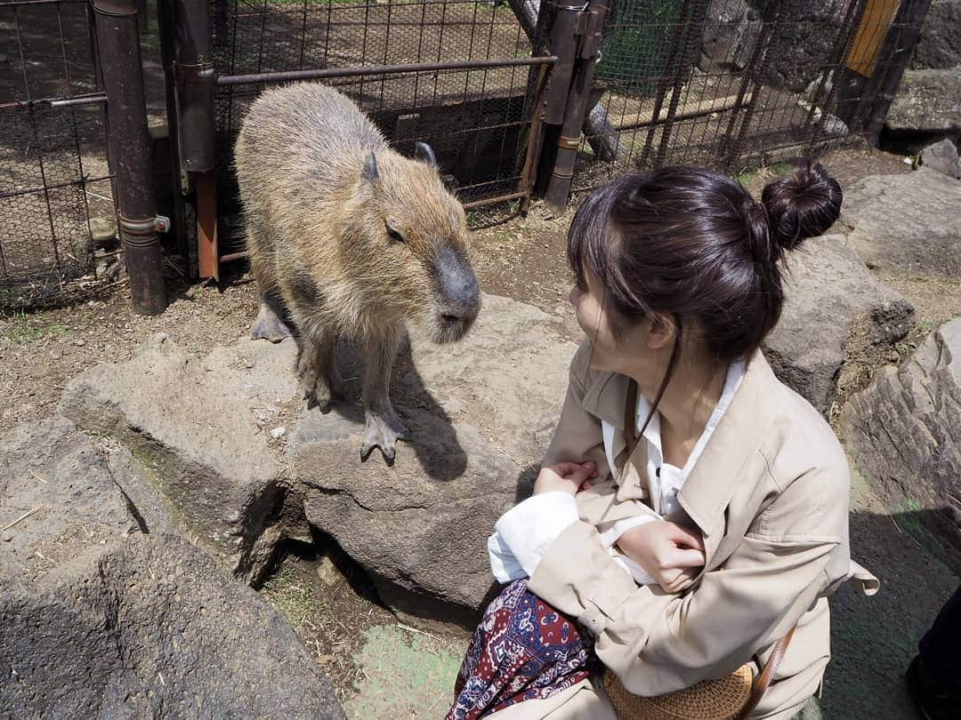 水谷果穂さんのインスタグラム写真 - (水谷果穂Instagram)「シャボテン公園に行ってきました📸」4月29日 19時10分 - kahomizutani_official