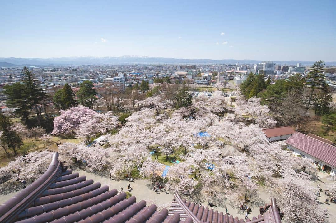 東北女子さんのインスタグラム写真 - (東北女子Instagram)「. 福島賞櫻part1：#鶴之城 . 這次賞櫻旅唯一滿開的地方，超美😭 第二次來鶴之城，想當初第一次冬天來時是滿滿的積雪...（笑） 再次見證東北的景點每個季節都值得來一次🙆‍♀️ . 📍交通：從会津若松駅搭周遊巴士20分鐘 📍開放：8:30-17:00 📍票價：410円 📍停留時間：1小時（可慢慢逛城內展覽） . ✨#東北女子福島賞櫻之旅 📷2019.04.18 . #日本東北 #東北女子travel #福島 #會津 #会津 #会津若松 #東北之旅 #賞櫻 #花見 #日本自助 #東北賞櫻 #日本賞櫻 #賞櫻之旅 #行くぜ東北 #春の東北インスタキャンペーン #東北女子 #tohoku #fukushima　#fukushimacity　#wakufuku」4月29日 20時02分 - tohoku_girl_official