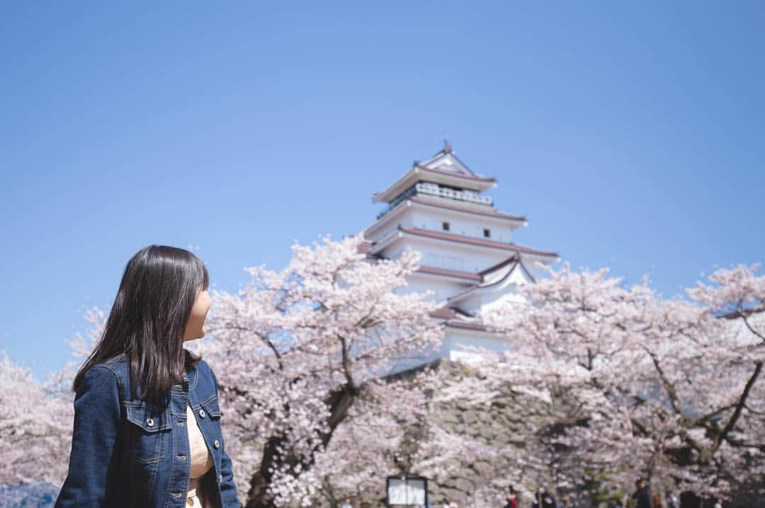 東北女子さんのインスタグラム写真 - (東北女子Instagram)「. 福島賞櫻part1：#鶴之城 . 這次賞櫻旅唯一滿開的地方，超美😭 第二次來鶴之城，想當初第一次冬天來時是滿滿的積雪...（笑） 再次見證東北的景點每個季節都值得來一次🙆‍♀️ . 📍交通：從会津若松駅搭周遊巴士20分鐘 📍開放：8:30-17:00 📍票價：410円 📍停留時間：1小時（可慢慢逛城內展覽） . ✨#東北女子福島賞櫻之旅 📷2019.04.18 . #日本東北 #東北女子travel #福島 #會津 #会津 #会津若松 #東北之旅 #賞櫻 #花見 #日本自助 #東北賞櫻 #日本賞櫻 #賞櫻之旅 #行くぜ東北 #春の東北インスタキャンペーン #東北女子 #tohoku #fukushima　#fukushimacity　#wakufuku」4月29日 20時02分 - tohoku_girl_official