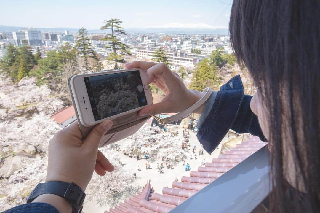 東北女子さんのインスタグラム写真 - (東北女子Instagram)「. 福島賞櫻part1：#鶴之城 . 這次賞櫻旅唯一滿開的地方，超美😭 第二次來鶴之城，想當初第一次冬天來時是滿滿的積雪...（笑） 再次見證東北的景點每個季節都值得來一次🙆‍♀️ . 📍交通：從会津若松駅搭周遊巴士20分鐘 📍開放：8:30-17:00 📍票價：410円 📍停留時間：1小時（可慢慢逛城內展覽） . ✨#東北女子福島賞櫻之旅 📷2019.04.18 . #日本東北 #東北女子travel #福島 #會津 #会津 #会津若松 #東北之旅 #賞櫻 #花見 #日本自助 #東北賞櫻 #日本賞櫻 #賞櫻之旅 #行くぜ東北 #春の東北インスタキャンペーン #東北女子 #tohoku #fukushima　#fukushimacity　#wakufuku」4月29日 20時02分 - tohoku_girl_official