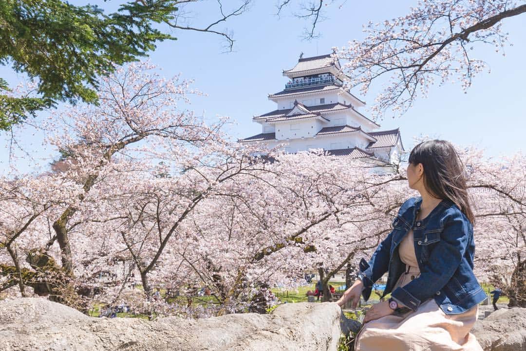 東北女子さんのインスタグラム写真 - (東北女子Instagram)「. 福島賞櫻part1：#鶴之城 . 這次賞櫻旅唯一滿開的地方，超美😭 第二次來鶴之城，想當初第一次冬天來時是滿滿的積雪...（笑） 再次見證東北的景點每個季節都值得來一次🙆‍♀️ . 📍交通：從会津若松駅搭周遊巴士20分鐘 📍開放：8:30-17:00 📍票價：410円 📍停留時間：1小時（可慢慢逛城內展覽） . ✨#東北女子福島賞櫻之旅 📷2019.04.18 . #日本東北 #東北女子travel #福島 #會津 #会津 #会津若松 #東北之旅 #賞櫻 #花見 #日本自助 #東北賞櫻 #日本賞櫻 #賞櫻之旅 #行くぜ東北 #春の東北インスタキャンペーン #東北女子 #tohoku #fukushima　#fukushimacity　#wakufuku」4月29日 20時02分 - tohoku_girl_official