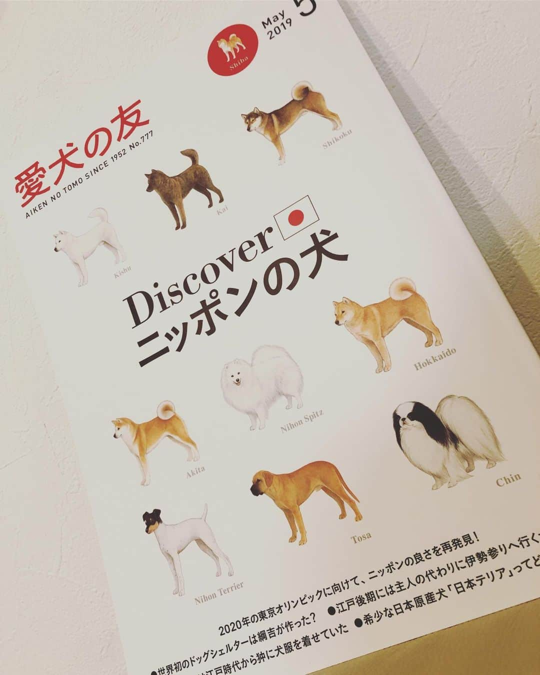 juntowaさんのインスタグラム写真 - (juntowaInstagram)「愛犬の友デビューしたよ。#日本の犬#特集#全員載ってるよ 良かったら見てねー！」4月29日 20時04分 - juntowa