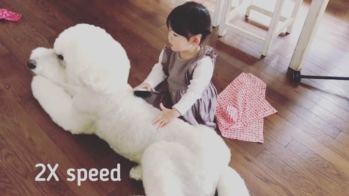たまねぎのインスタグラム