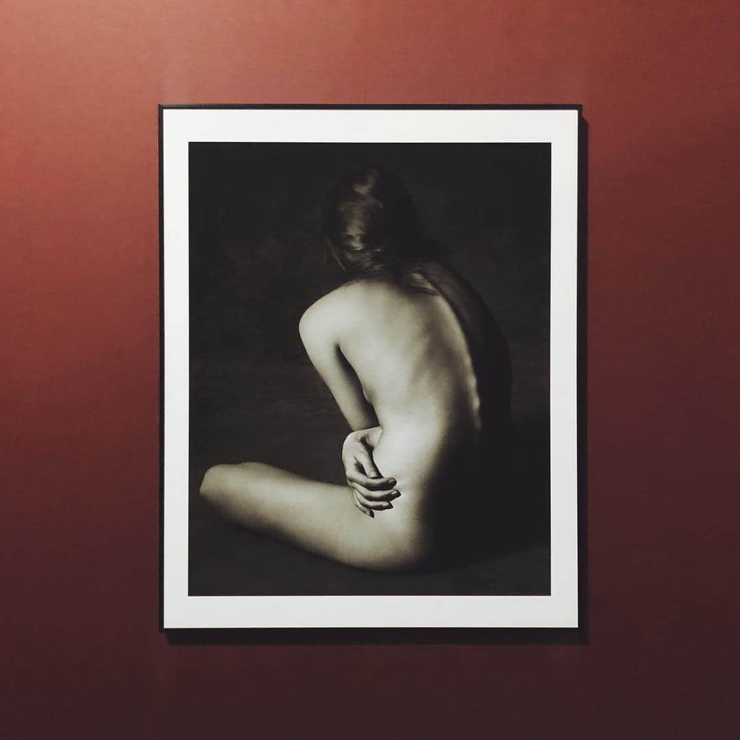 金セアルのグルメインスタ