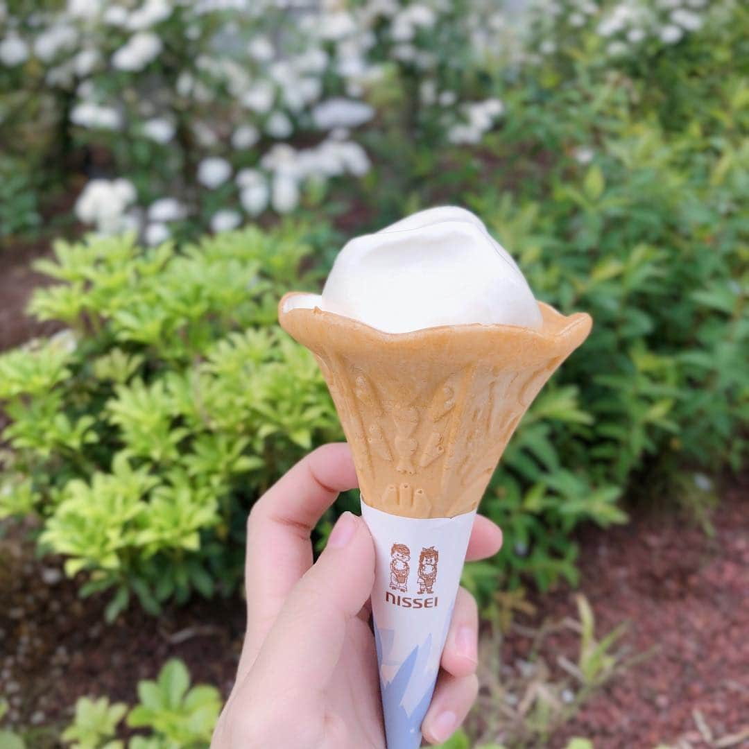 きりたんぽさんのインスタグラム写真 - (きりたんぽInstagram)「‪🍦‬」4月29日 21時04分 - kiritampopopo