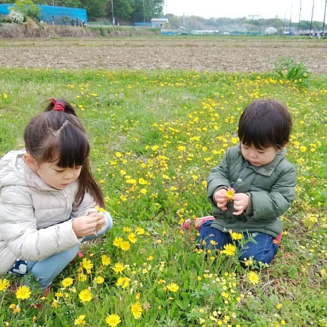 中岡由佳さんのインスタグラム写真 - (中岡由佳Instagram)「寺家ふるさとの森で田舎の景色を楽しみ、山登り。自然の中で過ごした後の家でのお昼寝は最高でした。息子を抱っこして山登りもしたので、帰宅して子供達と一緒に3時間夢の中。。」4月29日 21時07分 - yuka_nakaoka