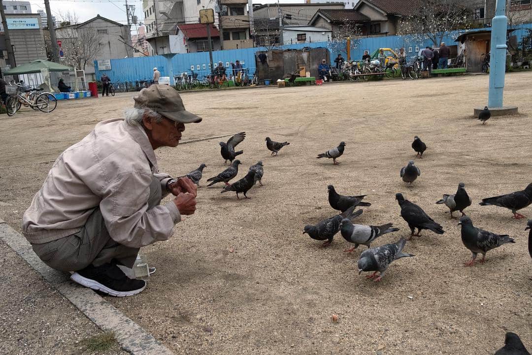 Q. Sakamakiさんのインスタグラム写真 - (Q. SakamakiInstagram)「Kamagasaki (Portrait) Series: captions— 1) Policemen subduing a man due to his street fighting. 2) Soup kitchen. 3) Kazuya Shimamoto, 66, hangs with pigeons, as he often loves to do so rather than humans. 4) Men playing a "shogi" game. 5) A monumental site for a man who died alone at a roadside, called as “ikidaore.” Such roadside death is a sort of common in Kamagasaki. 6) Street party tributing to their friend who died alone in the tiny apartment and were found days later. Kamagasaki, Osaka, shot in March, 2019. Kamagasaki is often called as the worst slum and/ or the most dangerous place in Japan. Yet many of them are so friendly and naive. So this time for many images, I have taken so at least somehow. However, it is true that many of Kamagasaki residents love the drinking so much and often tend to take the street fighting. Also there is an open secret — many residents, so many of them retirees, who live in poverty, are often exploited in their welfare system, even jobs, by middle-men, local government’s corruptions and/ or Yakuza, Japanese mafia. So, in addition to the friendly images, I will show Kamagasaki in the so-called typical reportage style as well. #kamagasaki #qs_kamagasaki #osaka #japan」4月29日 22時05分 - qsakamaki