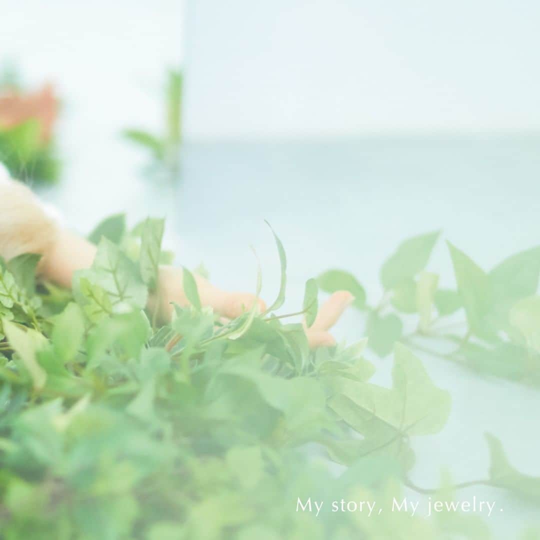 BLOOM(ブルーム) のインスタグラム