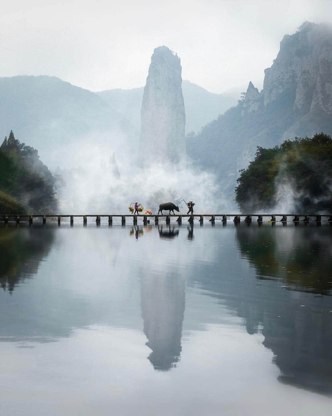 Instagramさんのインスタグラム写真 - (InstagramInstagram)「Lost (and found) in the mists of time. Photographer Jordan Hammond (@jordhammond) shared this magnificent photo taken in Xiandu, China. For his upcoming birthday, Jordan is headed back to China to explore a different area, the province of Guizhou. Follow along as we share more of our favorite submissions to last weekend’s hashtag project, #WHPgoingplaces. Photo by @jordhammond」4月30日 8時00分 - instagram