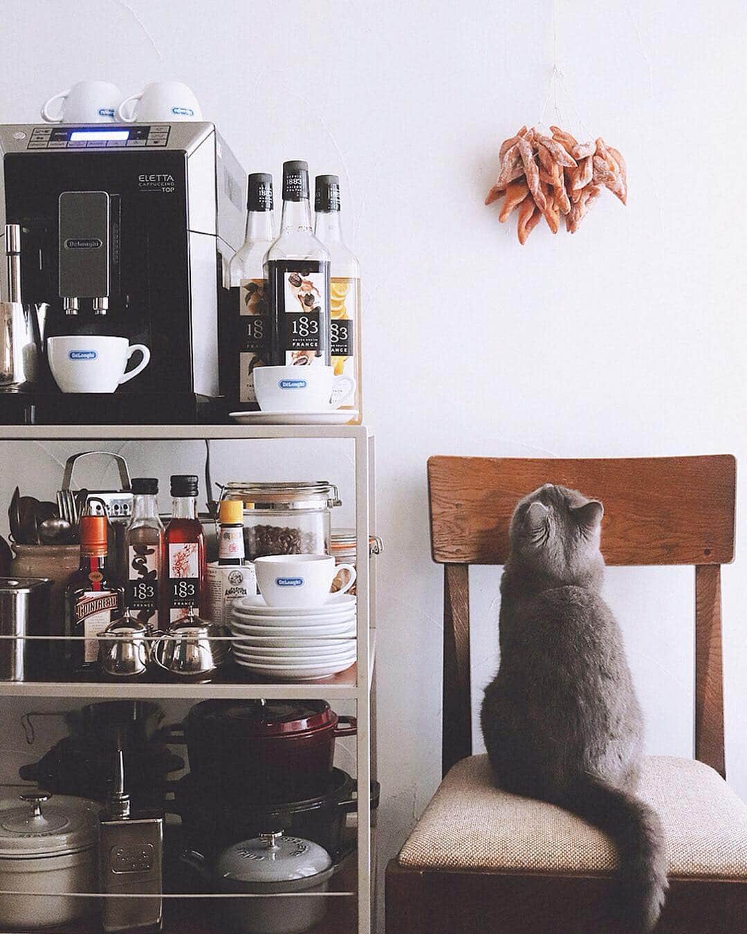 樋口正樹さんのインスタグラム写真 - (樋口正樹Instagram)「Coffee & Bugnes . 朝コーヒーとボナさん。 壁にビューニュ飾って。 . フランス・リヨンの 揚げ菓子のビューニュ。 外さっくり中ふんわり、 揚げたてに粉糖ふって。 . . @delonghi_japan #delonghi #delonghista #DeLonghiMoments #DelonghiELETTA #デロンギ #デロンギスタ #デロンギのある暮らし #デロンギコーヒーマシン #デロンギ全自動コーヒーマシン #エレッタ #ホットコーヒー #ブリティッシュショートヘア」4月30日 8時09分 - higuccini