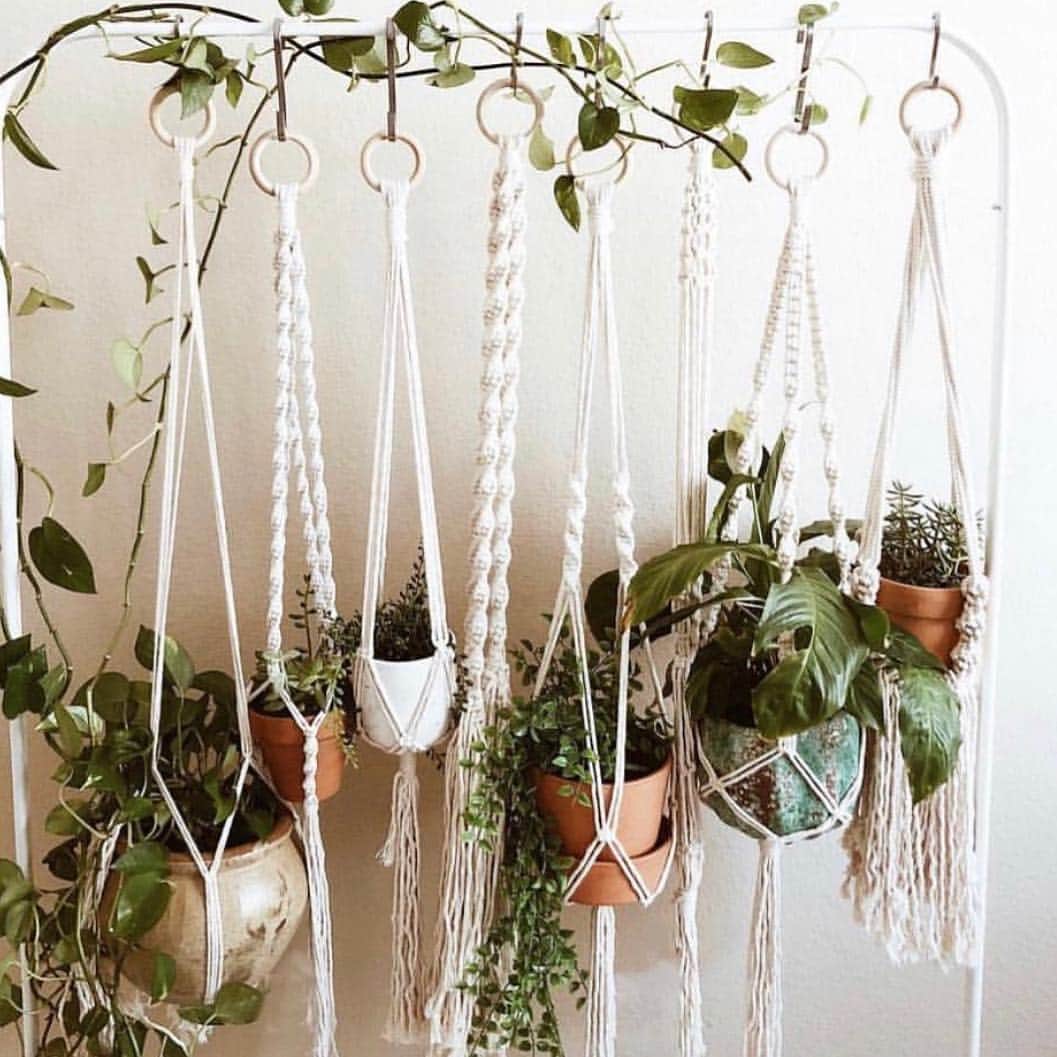 The Louunさんのインスタグラム写真 - (The LouunInstagram)「#hangingplants #macrame Plants simply  delivers to your door 🚪 🌳🍃」4月30日 8時28分 - shoplouun