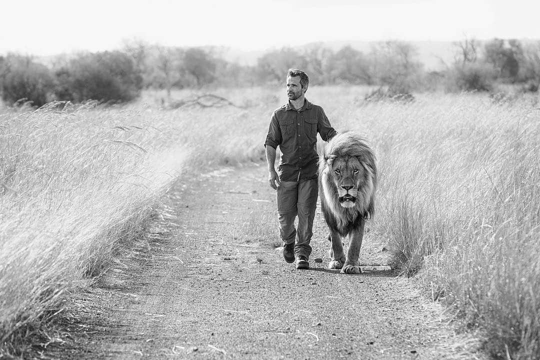 Kevin Richardson LionWhisperer さんのインスタグラム写真 - (Kevin Richardson LionWhisperer Instagram)「Hello UK 🇬🇧 👋. Happy to be in your country for a special @craghoppersofficial event. I think the timing is perfect considering the news paper editorial by Lord Ashcroft on the horror of lion farms that made the front page of the #TheMail  I’m really grateful for this opportunity made possible by #Craghoppers who continue to help and support my work. Check out their clothing and gear. If it stands up to the paces the the lions put it through, it should be tough enough to stand up to anything you have to throw at it. #mycraghoppers #nosilife  Photo credit goes to the talented @jackiebadenhorst」4月30日 0時04分 - lionwhisperersa