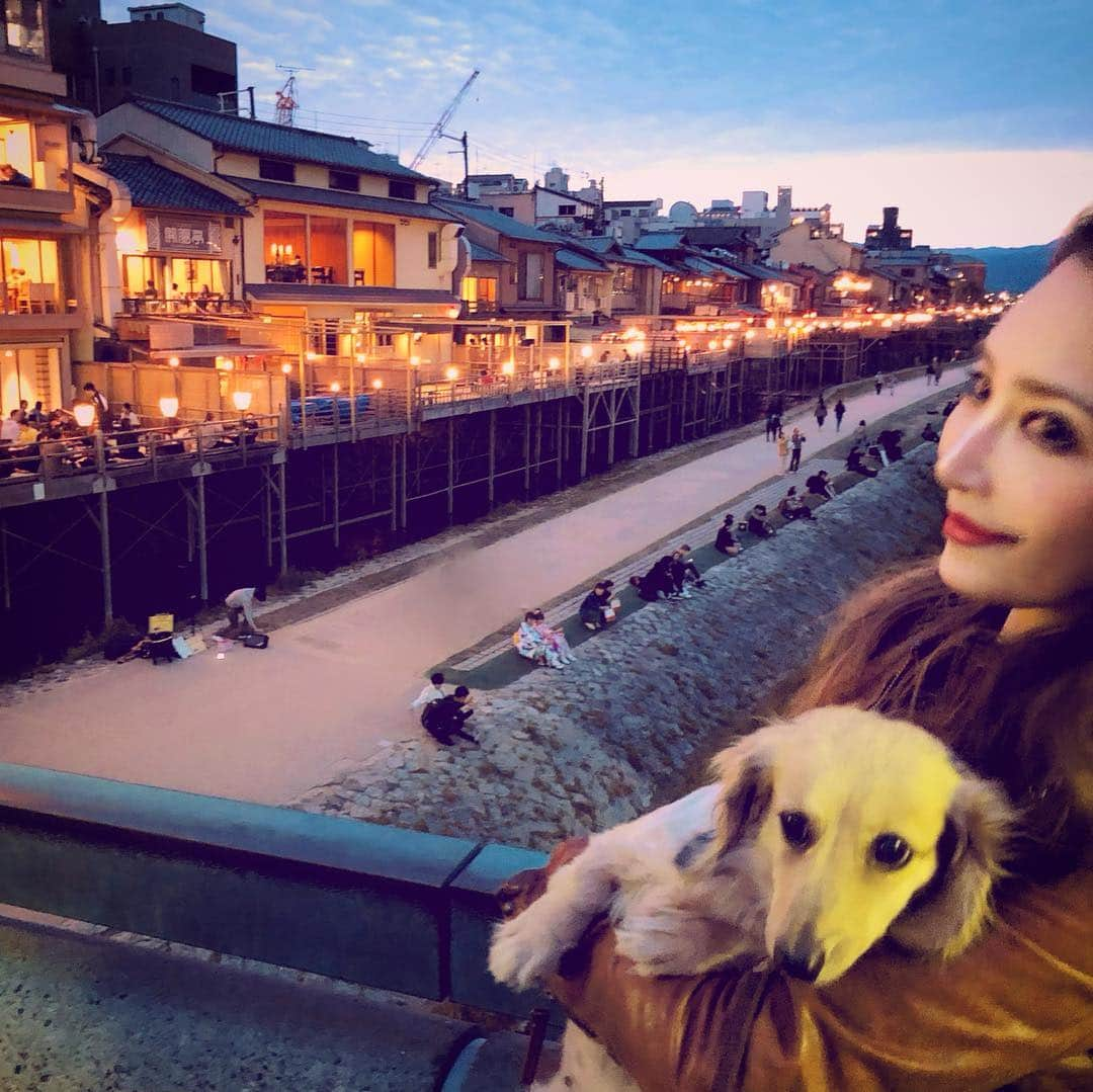 鈴木絢子さんのインスタグラム写真 - (鈴木絢子Instagram)「・ ・ #鴨川沿い を#犬さんぽ 🐶🐶 ・ 夕暮れ時は空のグラデが鴨川に反射して、、 見惚れる美しさの水鏡😍✨ ・ さすがにまだ寒過ぎましたが😅 納涼床で京料理と水炊きを頂き、、 短時間ながら京都を満喫しました✊ ・ ・ ・ #京都 #鴨川 #テラス #鴨川カフェ #鴨川をどり #京料理 #水炊き #湯豆腐 #おばんざい #京町家 #先斗町ディナー #木屋町 #夕日 #水鏡 #夜景 #景色 #空 #親子犬 #ミニチュアダックス #kyotojapan #sky #riverside #sunrise #🌇」4月30日 0時26分 - ayako_suzuki810