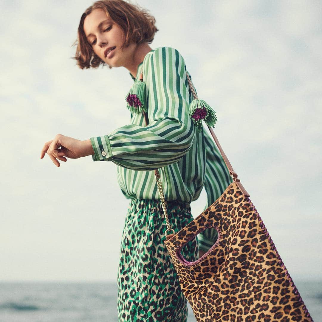 ジェラールダレルのインスタグラム