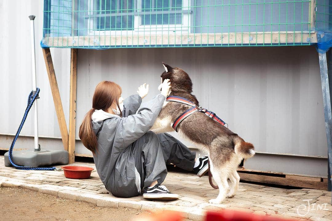 チェ・スルギさんのインスタグラム写真 - (チェ・スルギInstagram)「. 미초새와 함께하는  유기견봉사활동 💛 . .  황금같은 주말  항상 좋은 마음으로 함께해주신 우리가족들 너무 고맙규 ! . 이번에는 내천사밍구도 함께했어요  헤헤 +_+  함께 봉사하지못해도  후원해주시고 도움주신 분들도 너무 감사합니다! .  조남동 보호소는  여러분의 사랑의 관심과 도움이 필요해요  사랑의마음이 있으신 분들은 . . @discovery4plus  @animalhome.jonam  요기로 문의주세요 ❤️」4月30日 1時09分 - angel9028