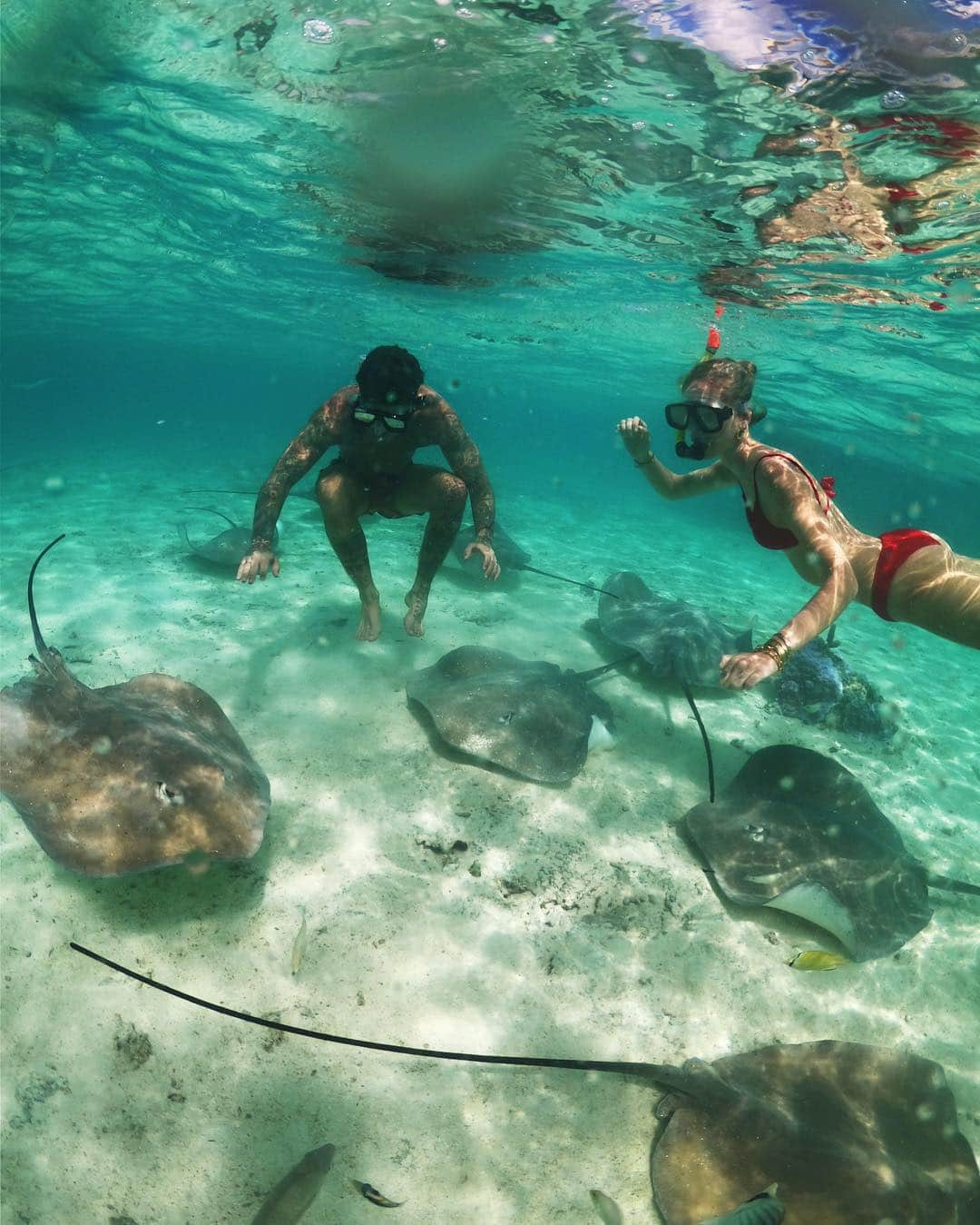 キアラ・フェラーニさんのインスタグラム写真 - (キアラ・フェラーニInstagram)「Swimming with stingrays in the most beautiful sea 🐠🐟🐬🐳🦈」4月30日 1時39分 - chiaraferragni