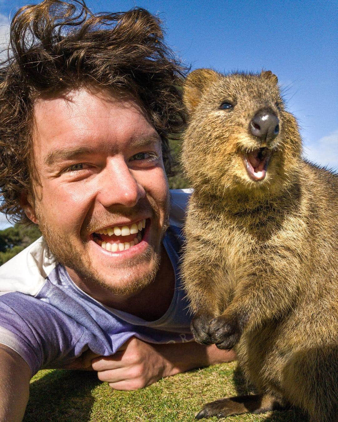 アラン・ディクソンさんのインスタグラム写真 - (アラン・ディクソンInstagram)「Long hair archives: Happy Quokka Monday 😂🐻 Keep rocking your smile, that’s your beautiful soul shining through  @quokkahub ✨- #quokkahub #quokka #instaquokka #perth #quokkaselfie #animalselfie #rottnestisland #rottnest #westernaustralia #australia #smiletime #smileon」4月30日 2時08分 - daxon